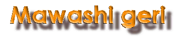 Haga click aqu� para ver nivel MAWASHI GERI